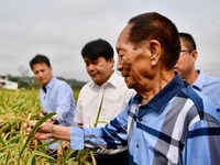 一顆稻穀的“中國貢獻”——袁隆平的追夢路