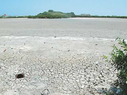 台湾高雄大旱：湿地干到见底 水鸟少一半