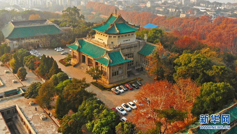 航拍初冬武汉大学 各色树木与校园古建相映成景