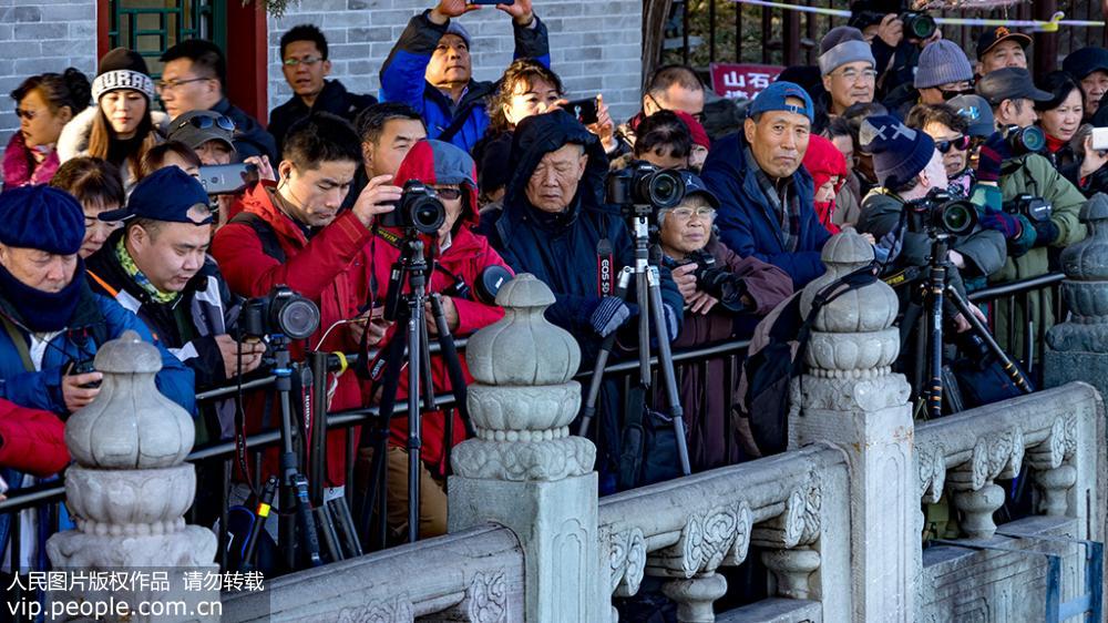 “金光穿洞”美景吸引摄友扎堆颐和园