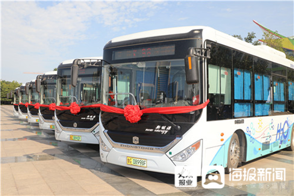 三年来，山东“腾”出了哪些“笼”，又引来了哪些凤凰？