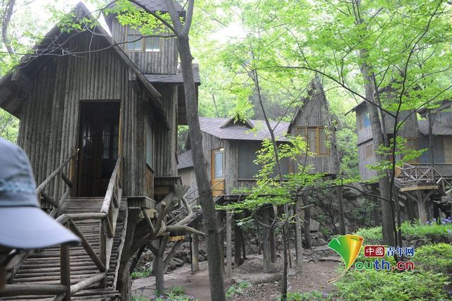 济南一景区现“空中树屋” 内部如微型旅馆