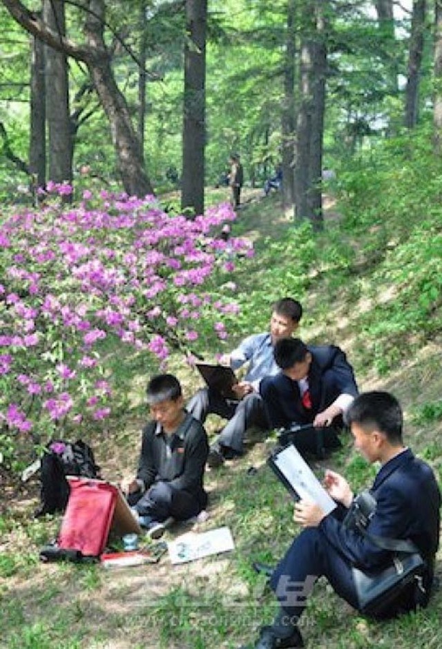 平壤市民踏青跳舞歡度勞動節