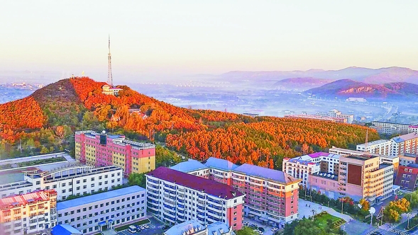 七台河:奮力開創全面振興全方位振興新局面 七台河:奮力開創全面振興全方位振興新局面