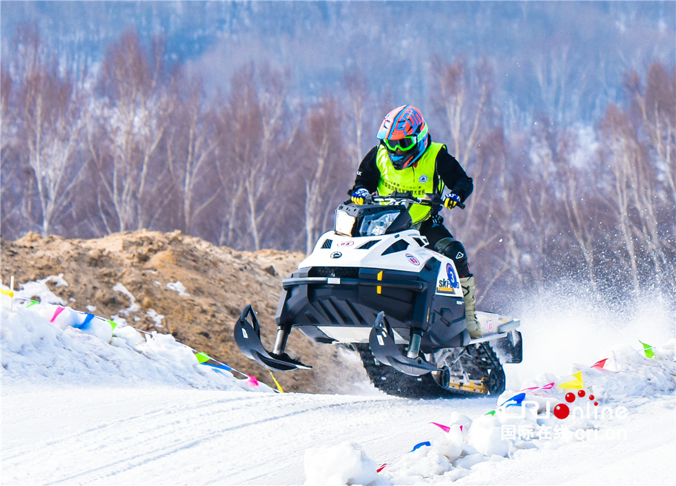 图片默认标题_fororder_《雪中竞速》 承德 张瞬晗 15930159121 (8)