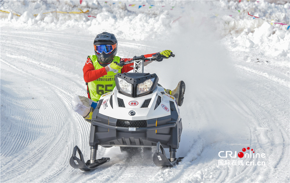 图片默认标题_fororder_《雪中竞速》 承德 张瞬晗 15930159121 (7)