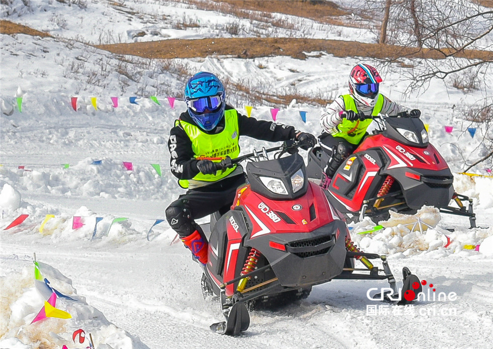 图片默认标题_fororder_《雪中竞速》 承德 张瞬晗 15930159121 (6)