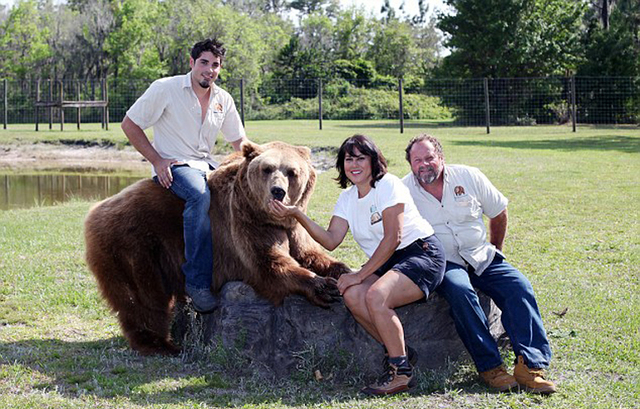 美国一家庭养13头熊当宠物 朝夕相处如家人