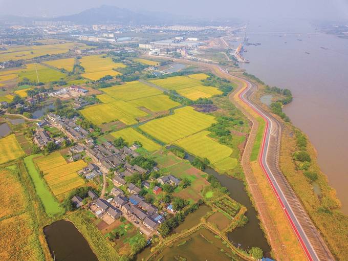 綠色為底  繪就長江大保護“鎮江新區畫卷”