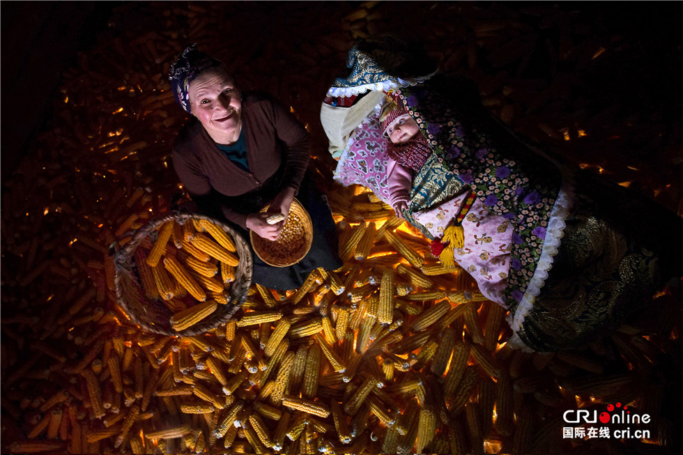 图片默认标题_fororder_00446