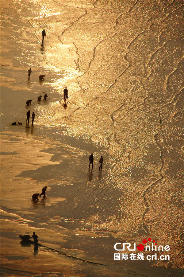 图片默认标题_fororder_《黄金海岸》+拍摄地：连云港市码头+李海鹏+手机：15805139151