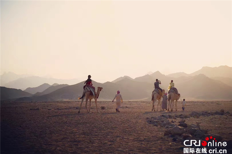 图片默认标题_fororder_行走埃及