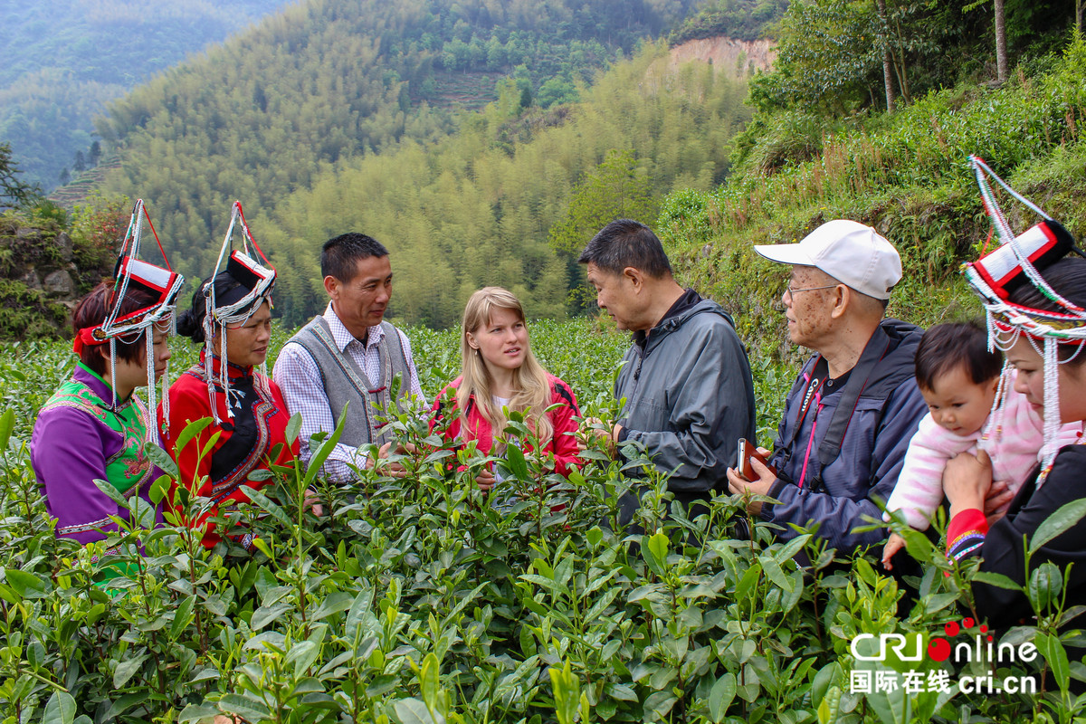 图片默认标题_fororder_拜访中国茶友的乡间家园_副本