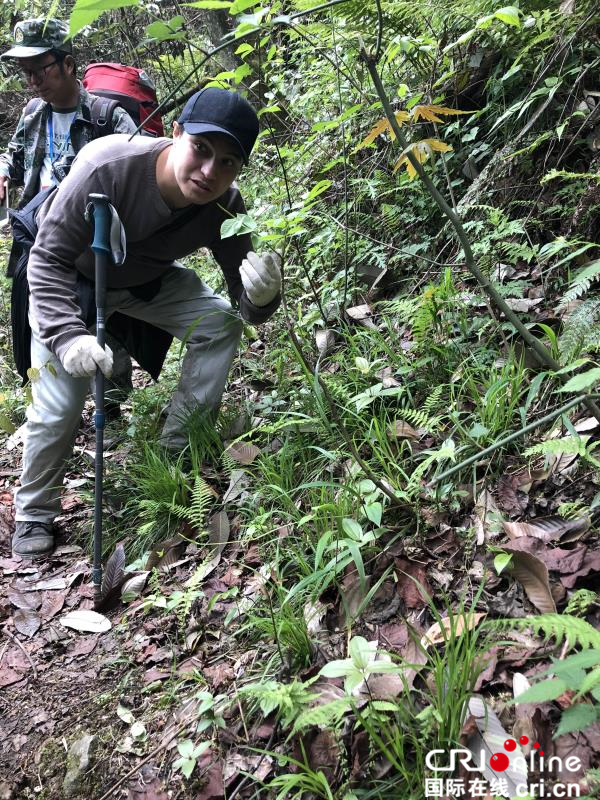 图片默认标题_fororder_《锦簇中的异国情调》作者：刘姝言。国籍：中国。联系电话：13540690155。拍摄地点：彭州市白水河生态保护区。作品介绍：：2018年4月27日，成都市外宣办对外平台《西望成都》栏目到彭州拍摄穿越白水河之旅现场时，比利时摄影师发现路旁出现一条沉睡的小蛇。