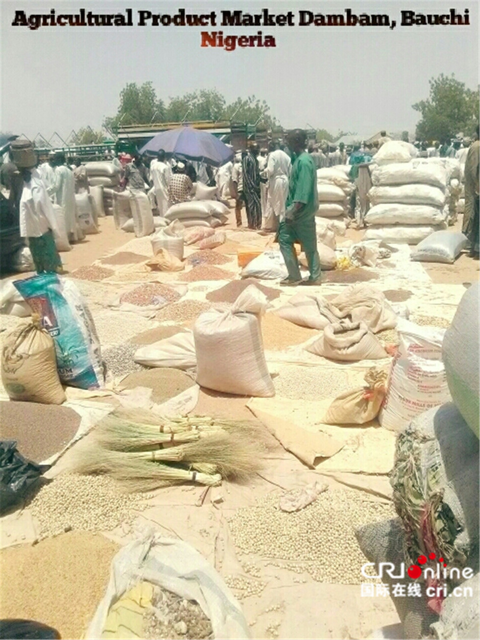 图片默认标题_fororder_1553116265327