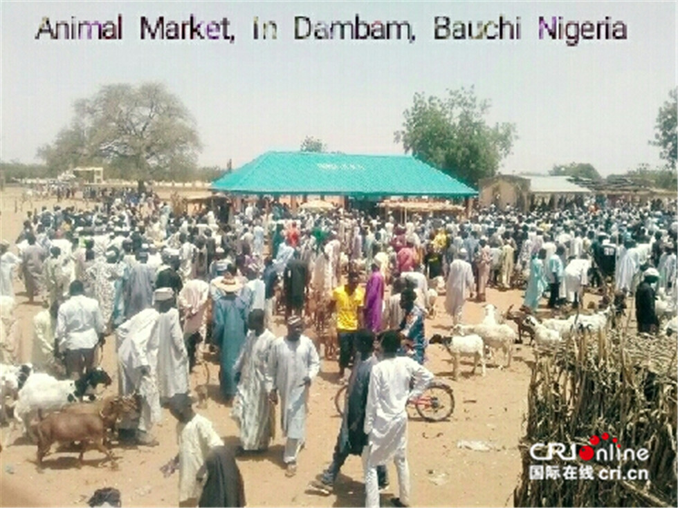 图片默认标题_fororder_1553116738116