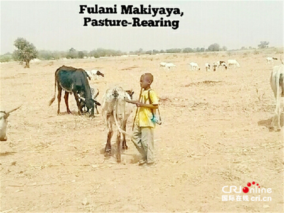 图片默认标题_fororder_1553200353451