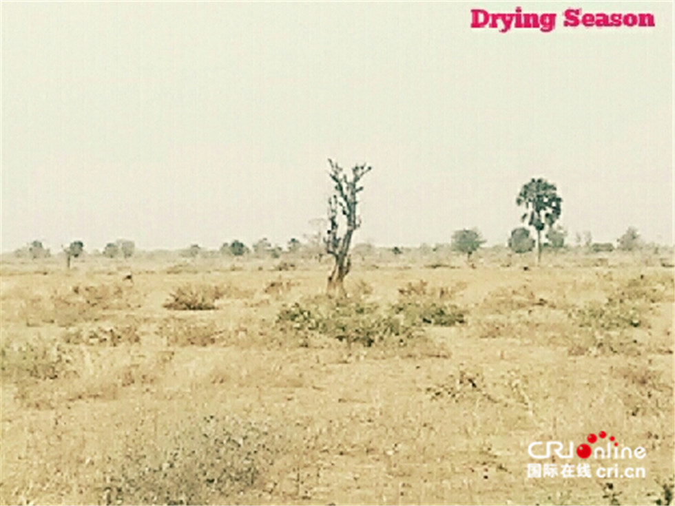 图片默认标题_fororder_1553200769034