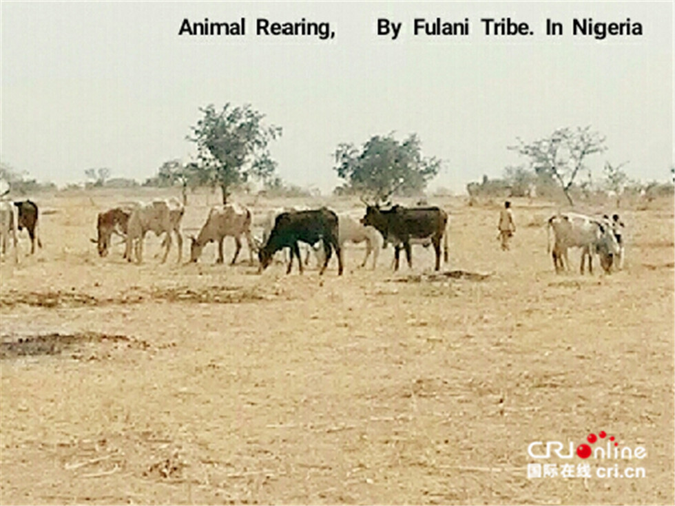 图片默认标题_fororder_1553200366867