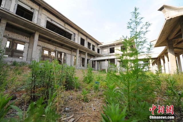 全國首個姓氏博物園“擱淺”一年 倣古建築被荒廢