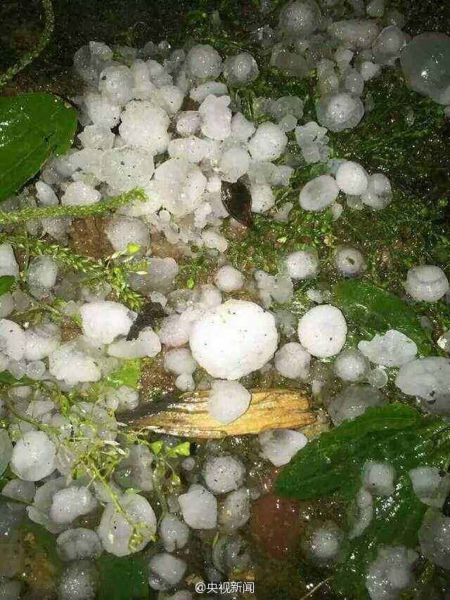 河南洛陽等地突降冰雹大如雞蛋