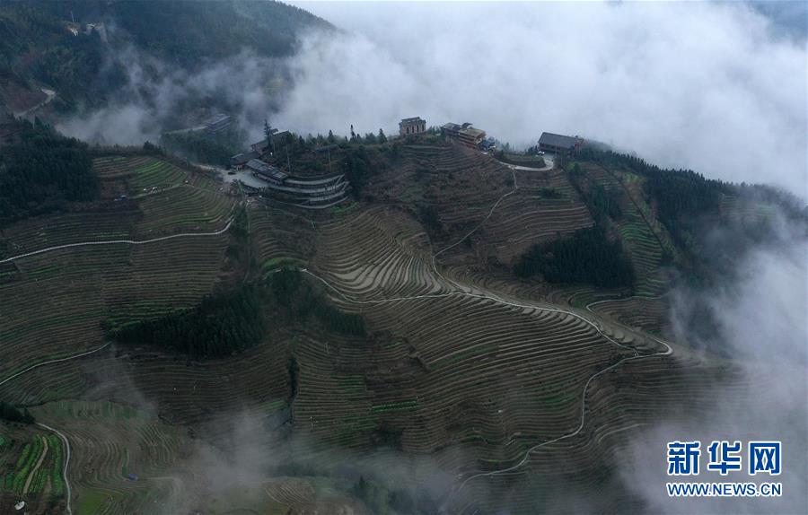 广西龙胜：梯田静无人