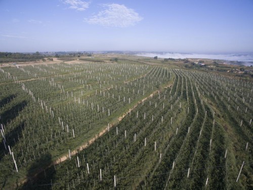 果业扶贫先进企业——陕西瑞杰生态科技发展有限公司