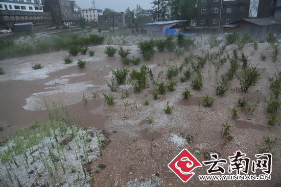 云南永善连续遭暴雨冰雹灾害 冰雹大如汤圆