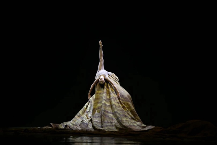 舞蹈史诗《黄河》在盛京大剧院上演：讲述中国故事 展现黄河儿女精神力量