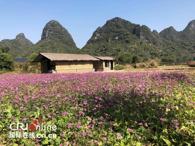 2019年广西休闲农业与乡村旅游产值近400亿元