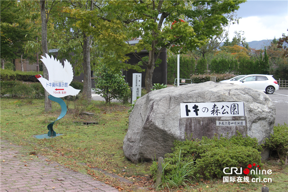 图片默认标题_fororder_图6 佐渡朱鹮森林公园 李轶豪摄