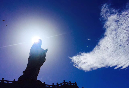 大青山青春音乐学院畅游普陀感受禅文化 大青山青春音乐学院畅游普陀感受禅文化