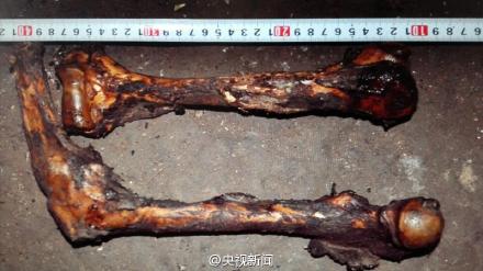 云南大熊猫遭猎杀 警方查获一张皮约20斤肉