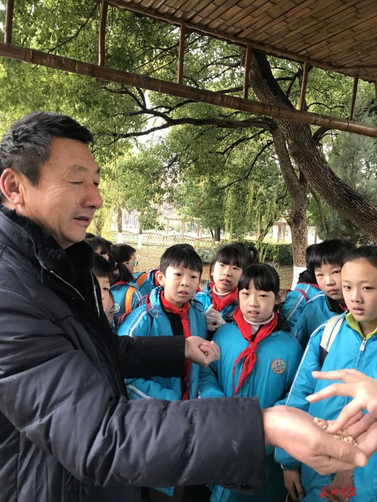 實地測量、親手播種 在公園裏上數學課既有趣又有用