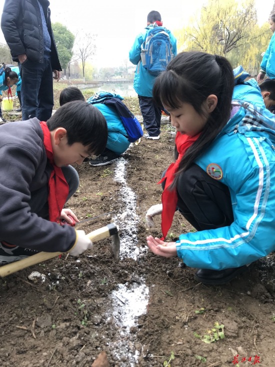 實地測量、親手播種 在公園裏上數學課既有趣又有用