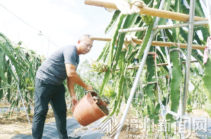 漳州：乡村振兴进行时 新农技打开新天地
