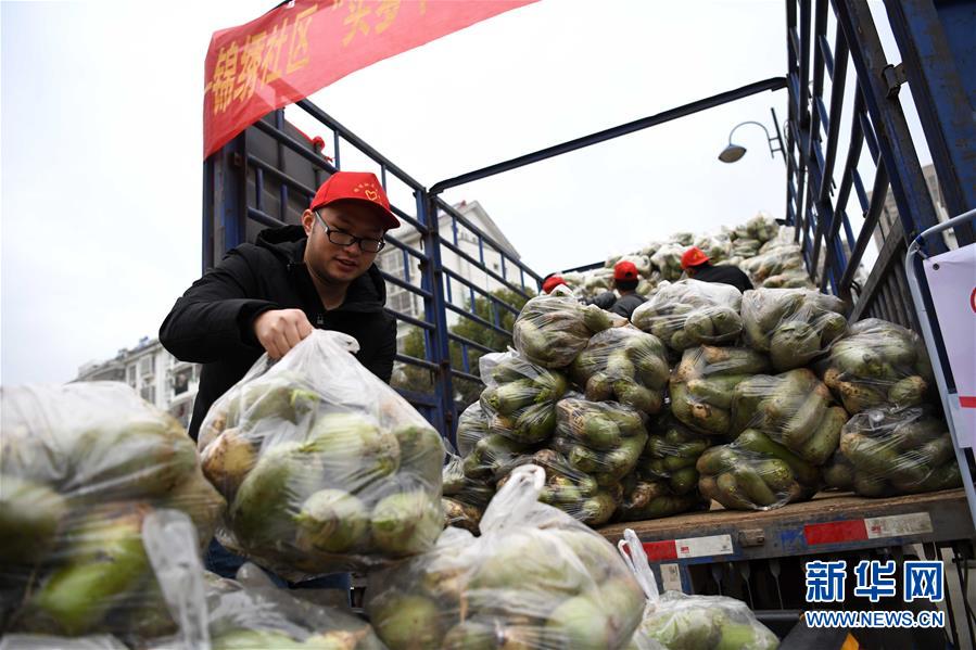 安徽合肥：买萝卜 献爱心