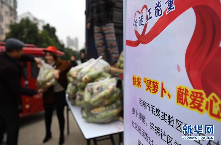 安徽合肥：买萝卜 献爱心