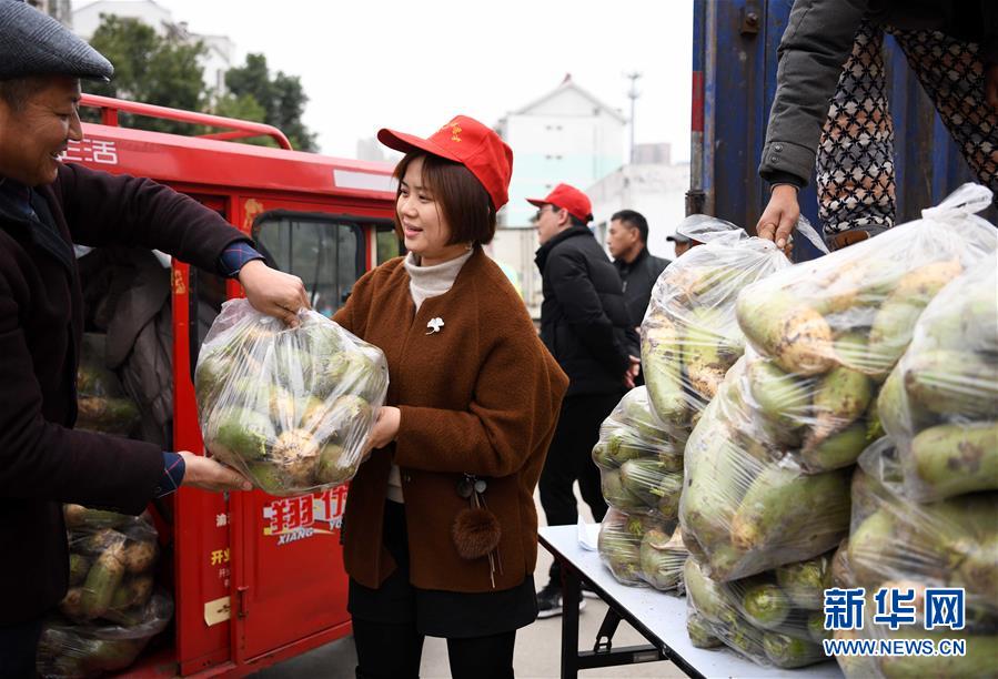 安徽合肥：买萝卜 献爱心