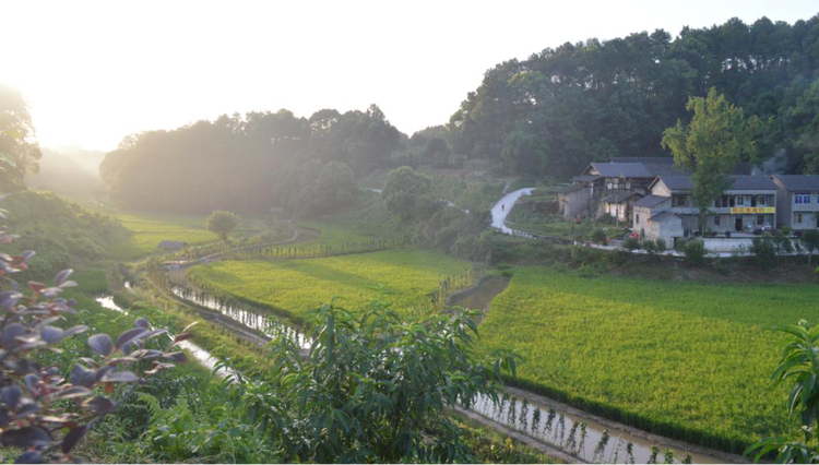 重慶巴南區天星寺鎮著力打造“山水芙蓉”農文旅項目 助推鄉村振興