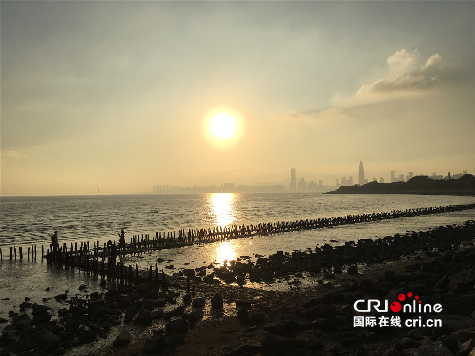 图片默认标题_fororder_乌兰察布黄花沟风电厂 作者：梁生文 中国 15600661124