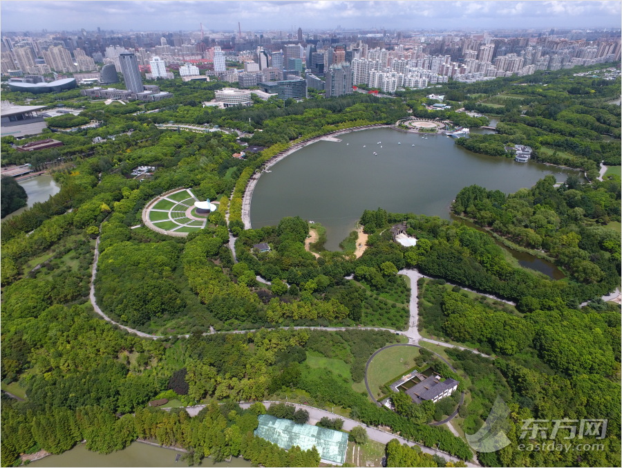 瞰上海航拍城市绿洲上海世纪公园