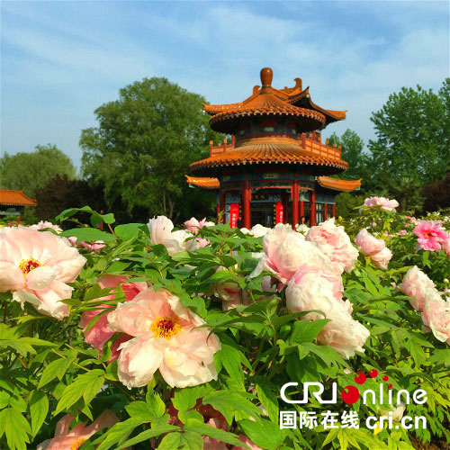 图片默认标题_fororder_luoyangmd-1