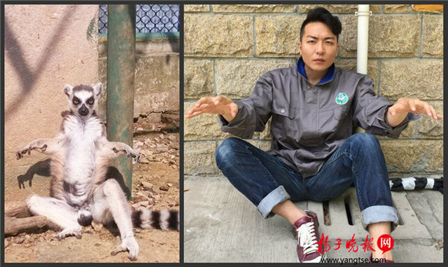 飼養員模倣動物拍照萌翻網友