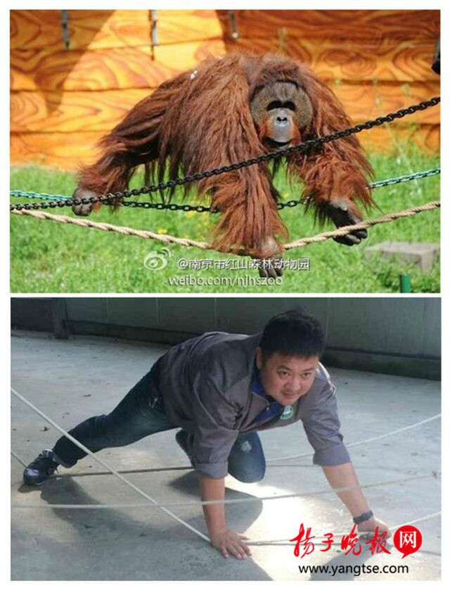 飼養員模倣動物拍照萌翻網友