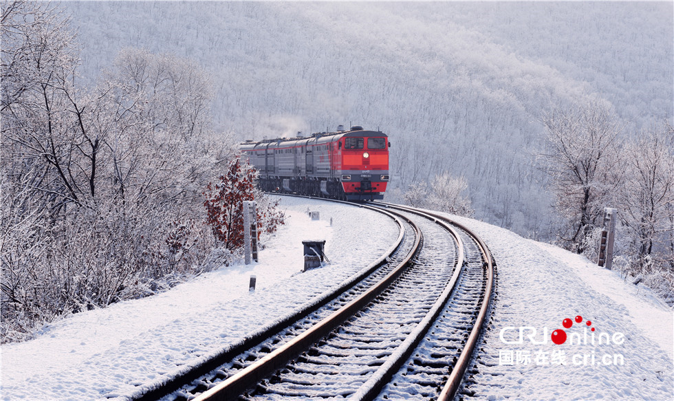 图片默认标题_fororder_DSC_1784