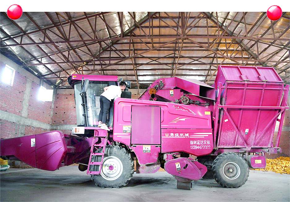 解锁“脱贫密码”——榆树市弓棚镇弓棚村脱贫记