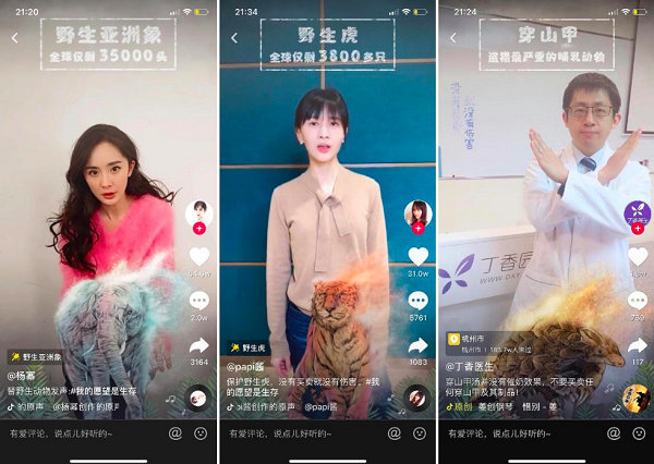 抖音联合环保组织野生救援，杨幂宋茜等明星共同呼吁保护濒危野生动物