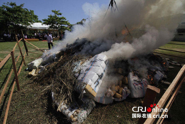 印尼警方销毁11.6吨大麻