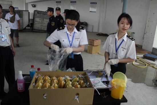 追求最“鲜”,台湾水果取道平潭登陆 追求最“鲜”,台湾水果取道平潭登陆